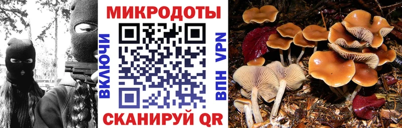 Псилоцибиновые грибы мицелий Щучье