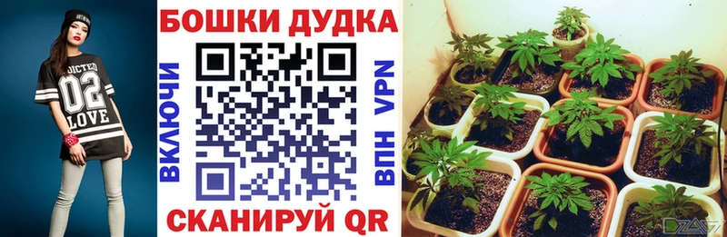 закладки  Щучье  Каннабис White Widow 